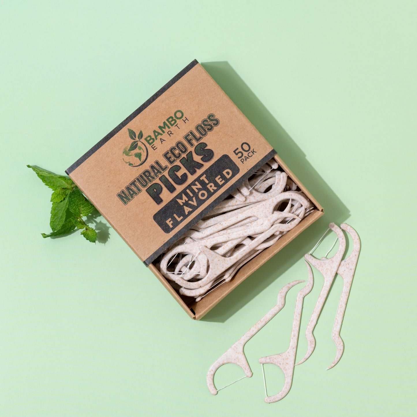 Floss Picks Charcoal & Mint 50 Pack (BG)