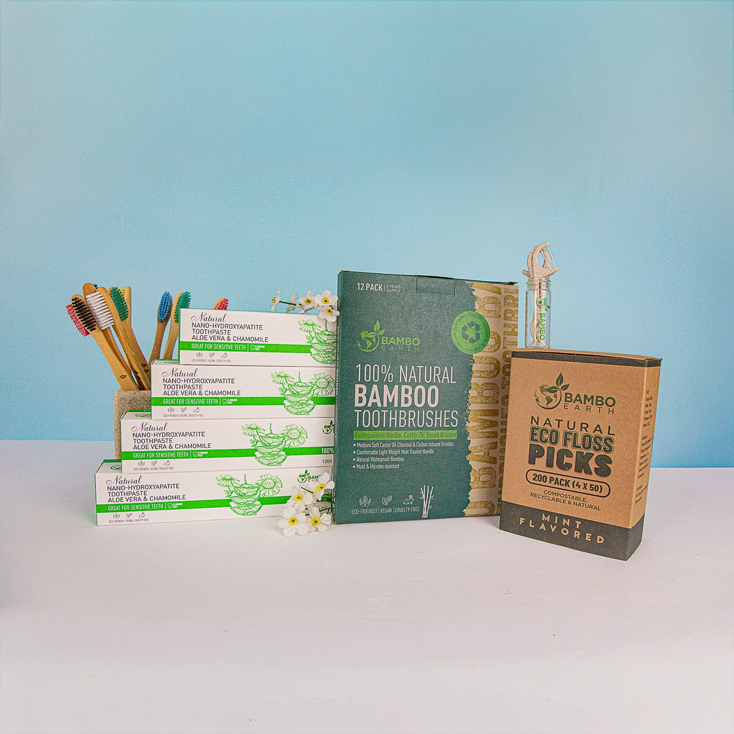 Family Dental Care Set With Floss Picks (BG)