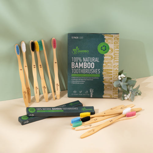 Bamboo Toothbrush Family Pack (BG)