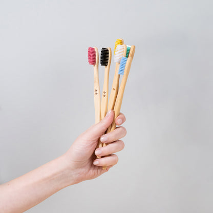 Family Dental Care Set With Floss Picks (BG)