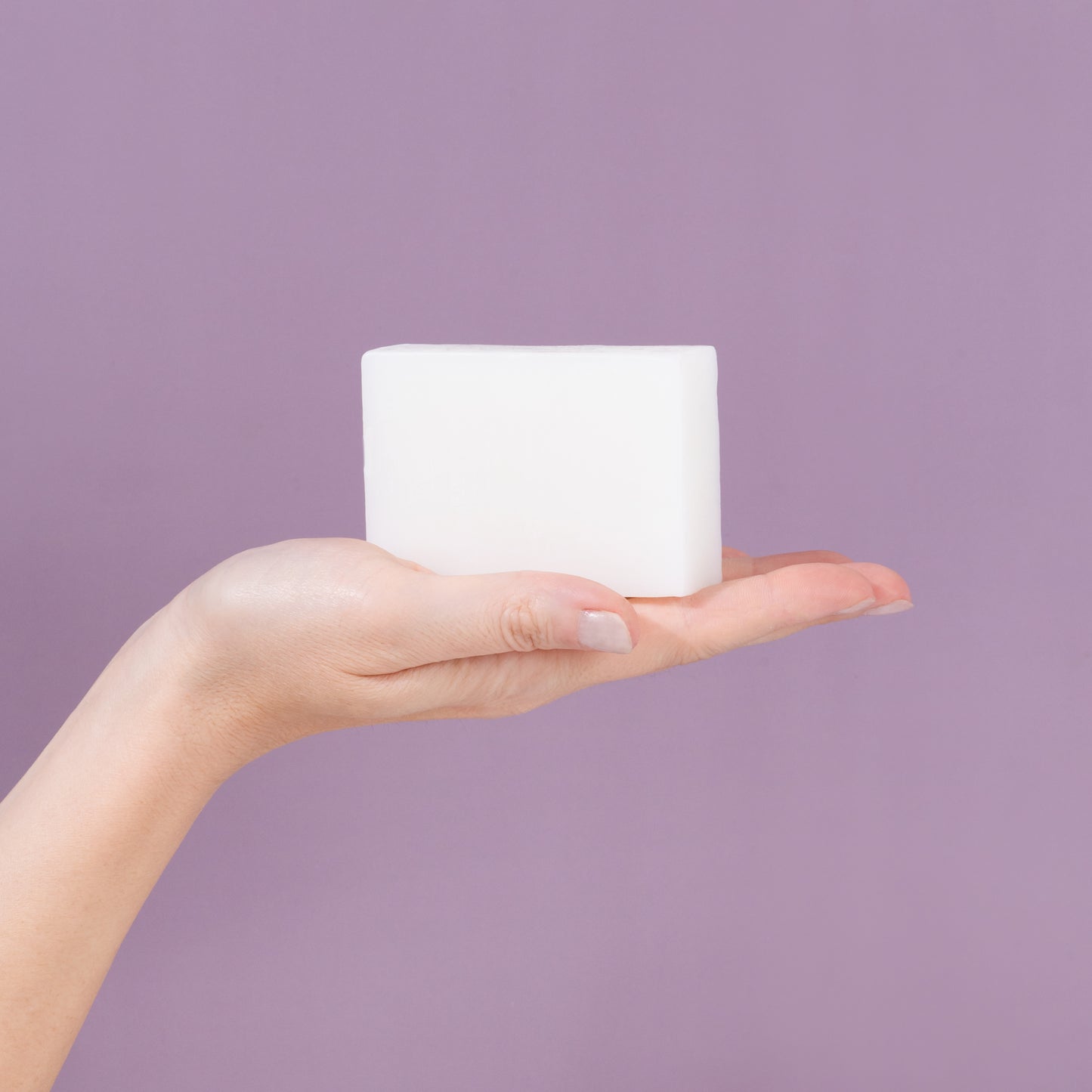 Dish Bar Unscented (BG)