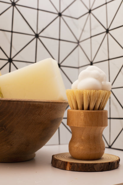Dish Bar Bundle Unscented (BG)