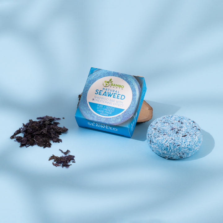 Shampoo Bar Mini Seaweed (BG)